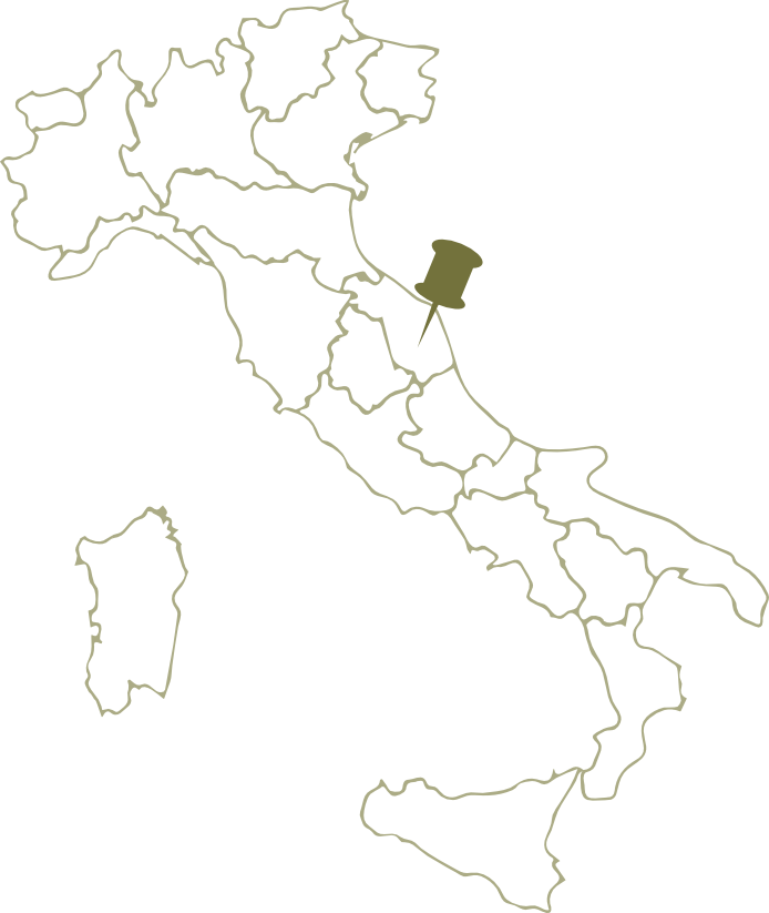 Cartechini Food Brothers Map